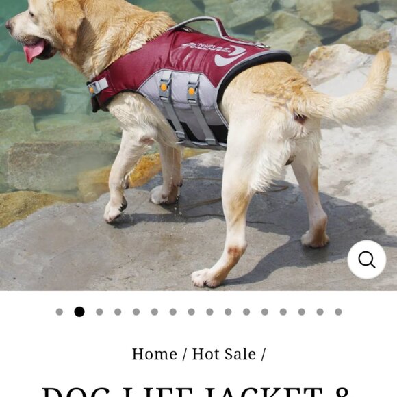 Life jacket for dogs - Picture 9 of 10